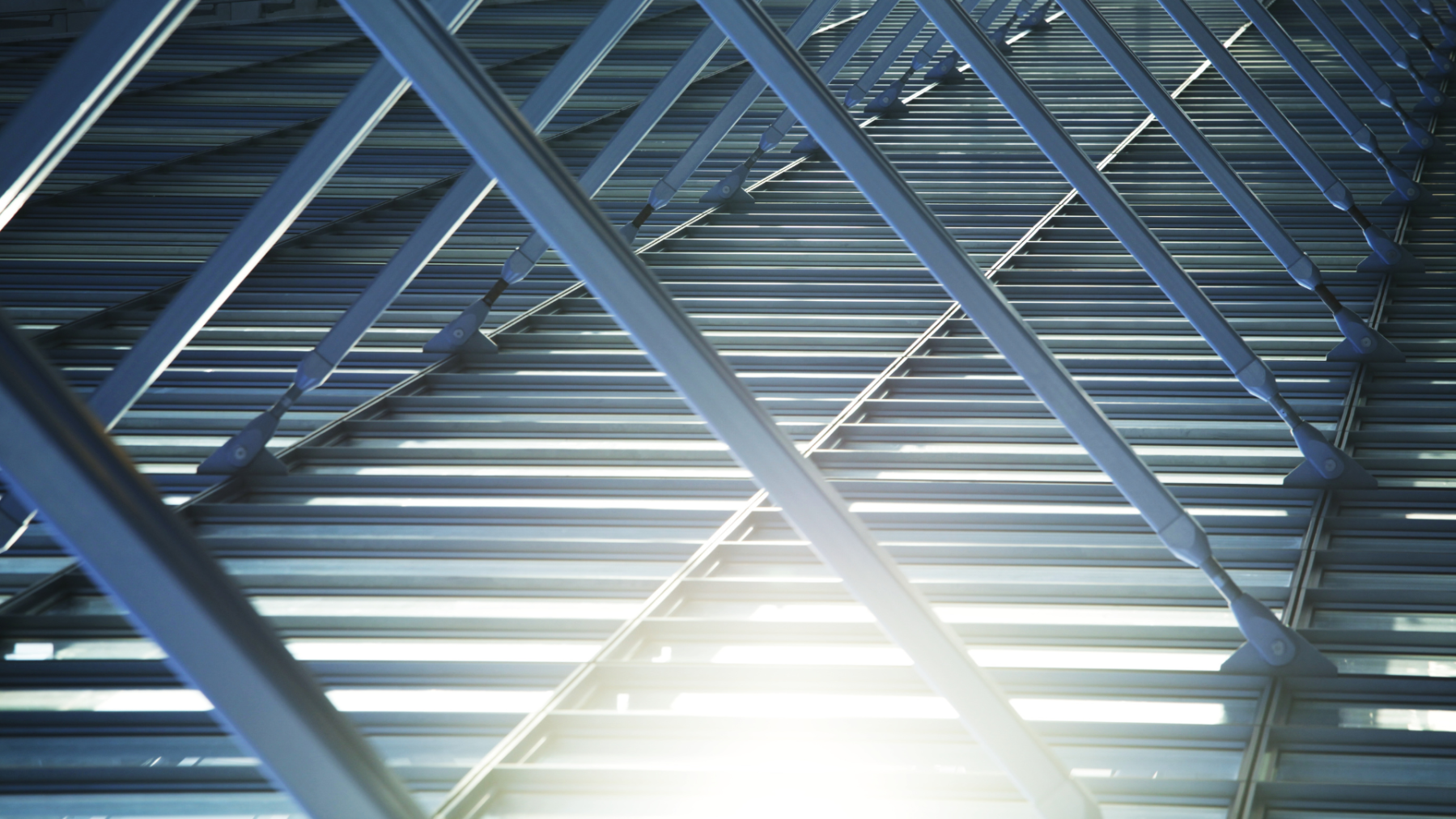 Lider în Construcții Metalice & Industriale 4